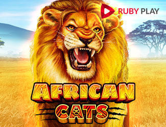 African Cats
