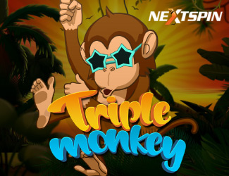 Triple Monkey